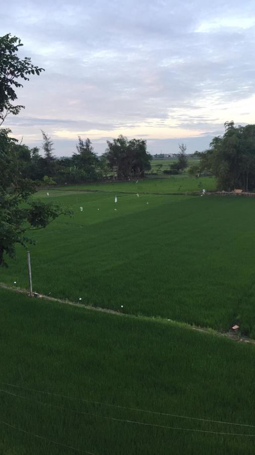 Bi'S House Homestay Hoi An Exterior foto